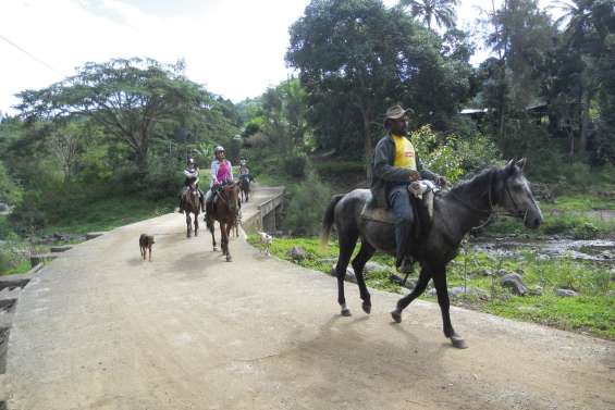 A cheval sur la labellisation