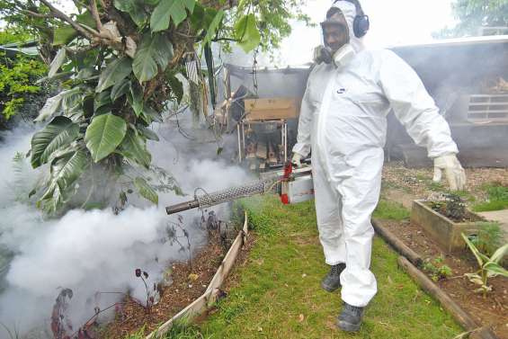 L'épidémie de dengue est déclarée