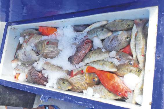 1,6 million de francs d'amende pour les pêcheurs illégaux