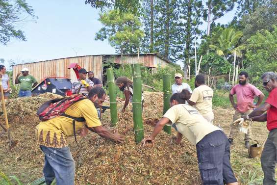 Les agriculteurs kunié misent sur le compost bio