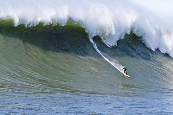 Les surfeurs prêts pour  la « tempête des 50 ans »