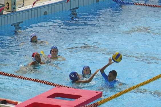 Les stages aquatiques font le plein