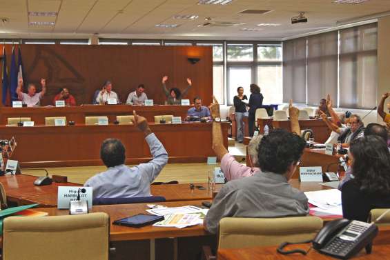 Le Cese valide le schéma de transition énergétique