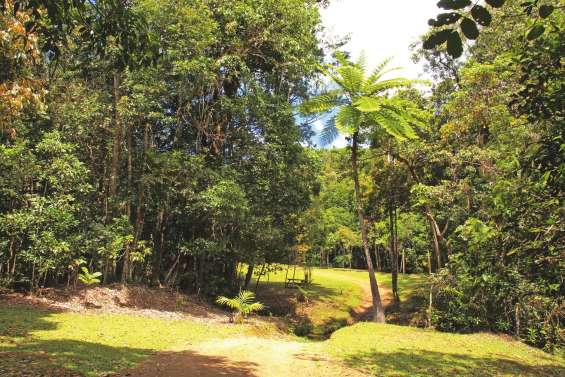 Un concentré de découvertes avec les sorties nature