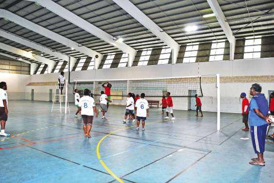 Coups de sifflet au filet de volley-ball
