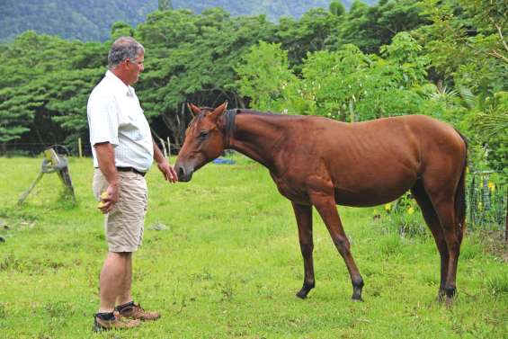 Six mois ferme pour vol et trafic de bétail