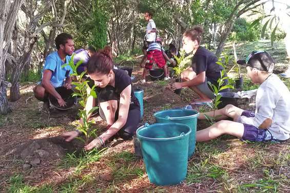 Une journée les mains dans la terre