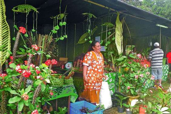 Waho doublement en fête samedi et dimanche