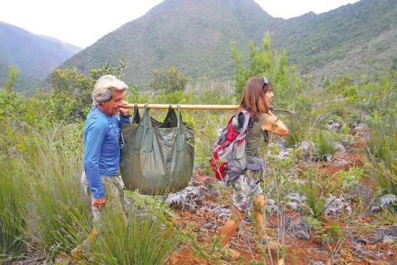 Un chantier écocitoyen  sur les bords de la Dumbéa