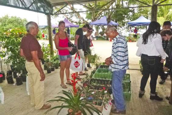 Les jardins à la fête