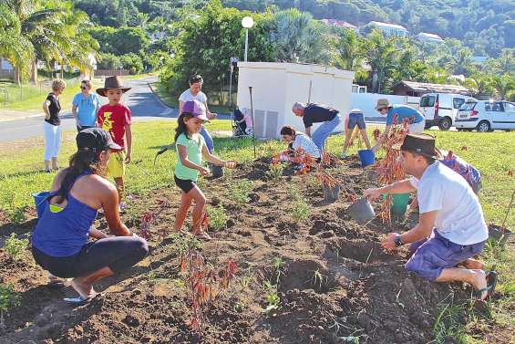 La mairie se lance dans « 100 projets pour le climat »