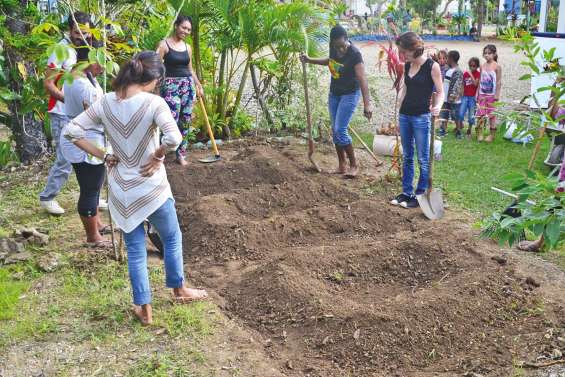 Les enseignants cultivent  le développement durable