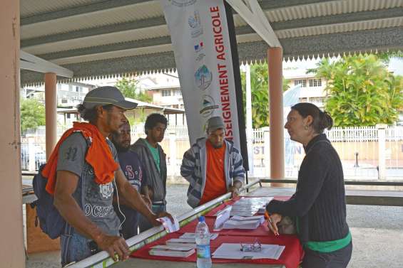 Les jeunes découvrent les métiers agricoles