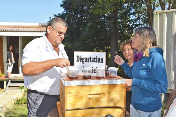 Les apiculteurs au chevet de leurs ruches