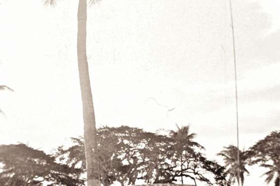 Des locaux de l'hôpital américain aux grandes expéditions naturalistes