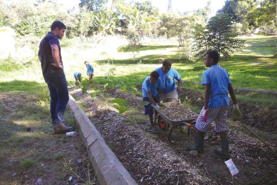 Les collégiens récolteront les fruits de leur travail