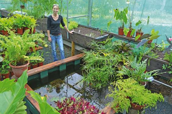 L'aquaponie, une autre  méthode de culture