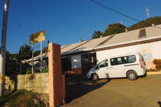 A quand une petite sœur ?