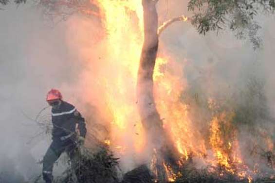 Une armée contre le feux