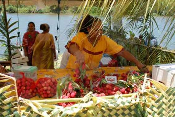 Le retour réussi des letchis