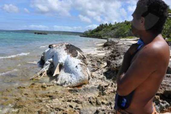 Le cachalot empoisonne la tribu