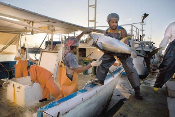 La pêche perd des millions