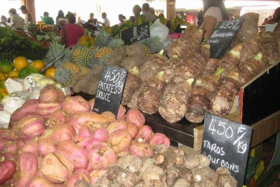 Le taro, meilleur aliment du monde