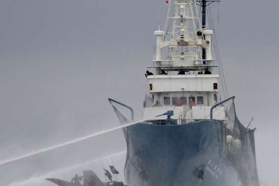 Les chasseurs de baleines dans le viseur