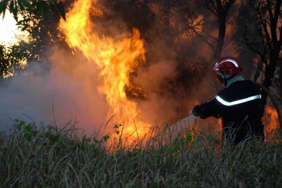 11 000 hectares brûlés
