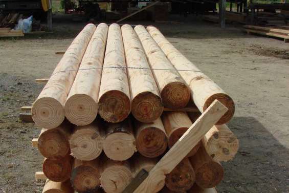 Le bois pourra-t-il prendre en partie le relais du nickel ?