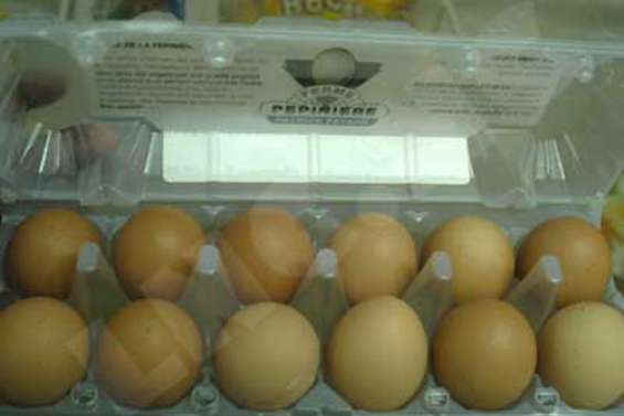 Salmonellose au poulailler de La Ouenghi