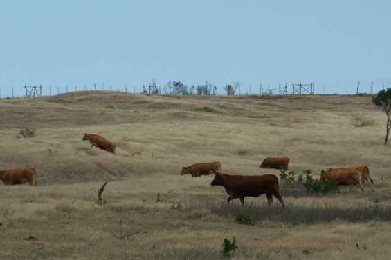 Le gouvernement anticipe  une possible sécheresse