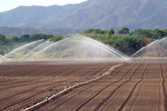 La réforme des pesticides revient sur la table
