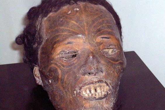 Les têtes maories de retour au pays