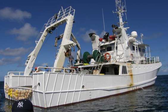 La recherche de La Monique tourne court