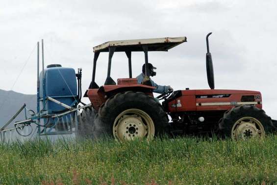 Les résidus de pesticides passés à la loupe