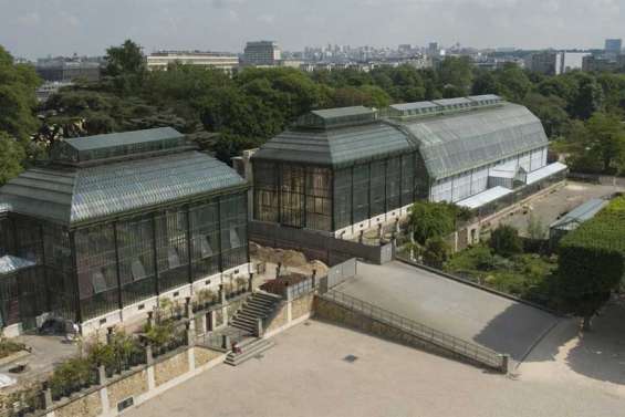 Nos plantes chouchoutées