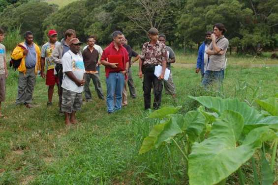 La filière bio se structure