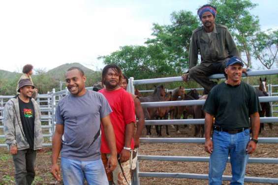 Premières captures  de chevaux à Pinjen
