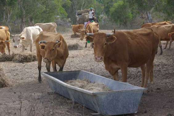Les agriculteurs rejoignent la FNSEA