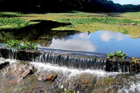 Un grain de sel sur la rivière