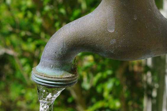 La chasse au gaspillage est ouverte