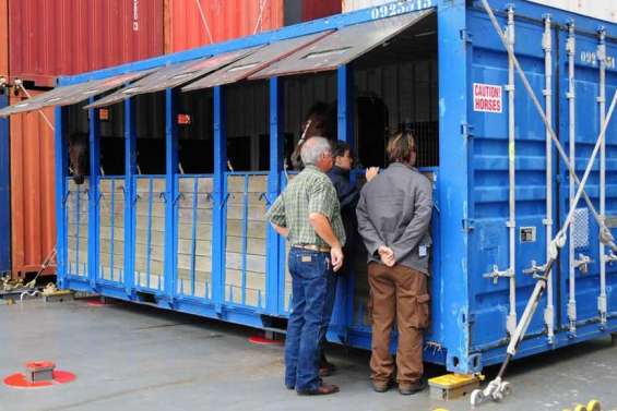 Derniers chevaux avant fermeture de la quarantaine