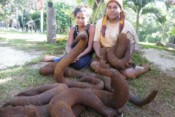 Sandra Koteureu, collectionneuse d'ignames