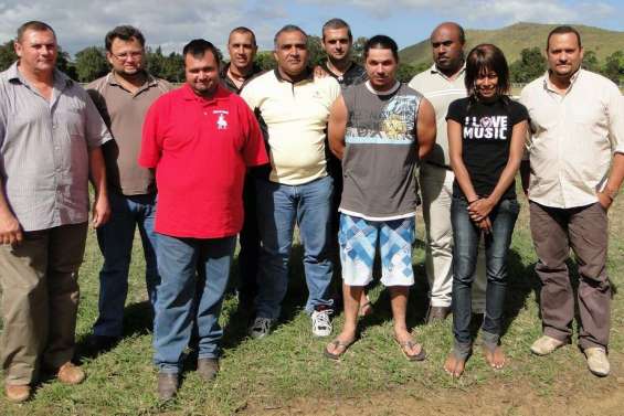 Sur leurs grands chevaux