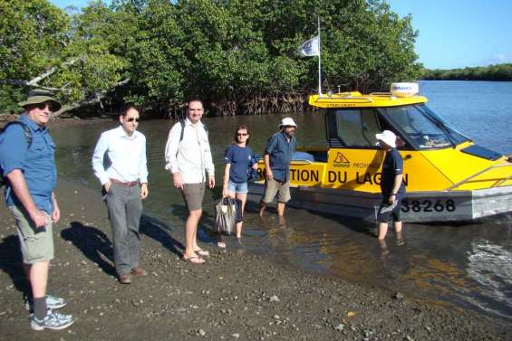 La mangrove, un trésor à préserver