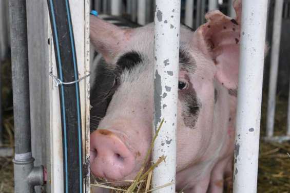 L'agriculture a le blues