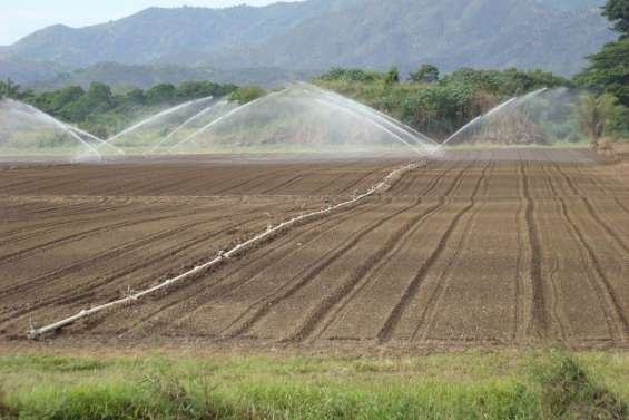 Le gouvernement coupe la poire en deux