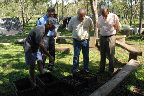 La Polynésie se met aux vers