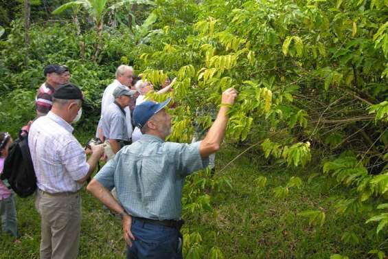 Le café, c'est bon pour la mémoire
